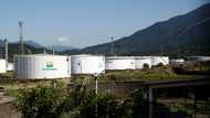 Brazil's Petrobras scraps international price peg
