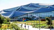Roofs coated with canopy-like solar panels and indoor spaces awash in sunglight: Google has bet big on in-person work with its sprawling new Silicon Valley offices.