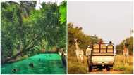 4 Game Reserves in Africa That are Proudly Showcasing African Heritage