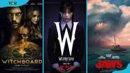 Top 10 horror TV shows & movies for summer 2025: The best August releases to watch