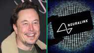 Netizens divided over Elon Musk's first Neuralink patient: "Do not fall for a trap"