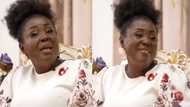 Vivian Akosua Serwaa: She moved from selling toothpaste & toffees at makola market to owning a real estate and aluminium company
