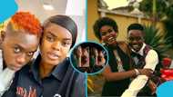 Peller and Javis set the internet ablaze as viral proposal video trends online