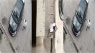 CCTV captures thief who returned to allegedly steal again in same house; video emerges