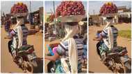 "She has PhD in hawking": Hawker carries bowl of fruit on her head while riding motorcycle