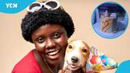 Ghanaian lady shows love to dog, throws a plush party to celebrate its birthday