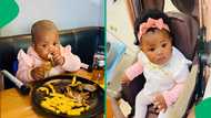 Toddler's epic lunch date with chicken and chips goes viral on TikTok, falls asleep after big meal