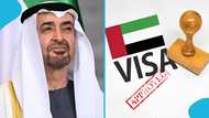 UAE sets minimum salary requirements for sponsoring family and friends in 2026