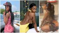 Slay queens battle: Ghanaians compare beauty, twerking, and curves of Efia Odo and Bhadie Kelly in top Ghana trends