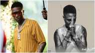 Reactions as Wizkid’s Made in Lagos album surpasses 1 billion streams on all platforms