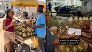 Generous Gh lady gives coconut seller GH₵50K, tells him he wont sell coconut again in video