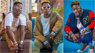 "Educated fools and disappointed graduates" - Shatta Wale jabs 'cheap-thinking' protesters