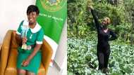 Meet 2020 best midwife award winner in Ashanti Region who runs her own farm