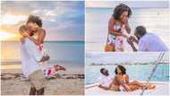 Man flies girlfriend out on vacation, asks for her hand in marriage