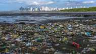 Oceans saved us, now we can return the favour