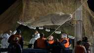 Stranded beluga whale removed from France's Seine river: AFP