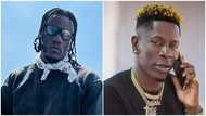 Pheelz calls out to Shatta Wale for a feature, says it will be a hit, peeps react to his request