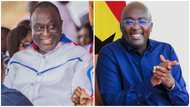 Alan-Bawumia ticket: Leading NPP stalwarts back merger between two camps to preserve party unity