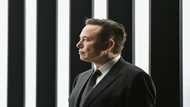 Musk says Twitter deal remains deadlocked over fake users