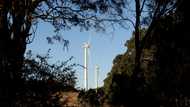 US opposes 'dangerous' anti-fossil fuel policies at global summit