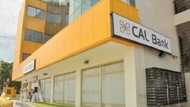 About 40% of graduates go into financial sector to commit fraud - MD of Cal Bank