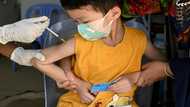 Covid vaccines saved 20 million lives in first year: study
