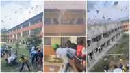Cash Rains: 'Rich kid' sprays money on university students from school balcony, video goes viral