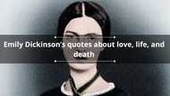 50+ Emily Dickinson quotes about love, life and death