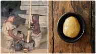 Video of diminutive man pounding fufu stirs rib-cracking reactions; netizen asks "where from this?"