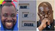 Relocate Bank of Ghana from Makola if money hates noise - GH man slams Akufo-Addo