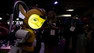 Rise of the cute robots