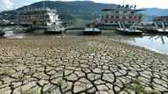 Chinese city dims lights in heatwave power crunch