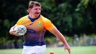 Springboks' concussed Wiese replaced by Smith for France Test