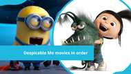 Despicable Me movies in order of release: Despicable and Minion movies watching order