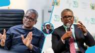 How Ghanaians can access Dangote’s potentially lucrative refinery shares