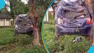 Flooding leaves Toyota car stuck in a tree, attempt to free car captured in video