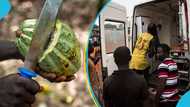 3 cocoa farmers shot following clash with COCOBOD task force members in Oti Region