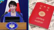 Full list: Japan announces 63 countries whose citizens can apply for Japanese visas for free