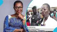 NPP's Ursula Owusu-Ekuful clarifies that the truck of food was for NPP agents