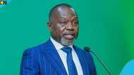 Ghana's Constitutional Review Committee proposes allowing dual citizens into public office