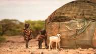 Horn of Africa drought to worsen with fifth failed rains: UN