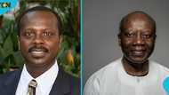 Thousands of Ghanaians sign petition to drag Ken Ofori-Atta from US to Ghana