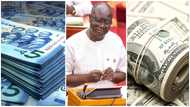 Finance Ministry ‘celebrates’ cedi’s recent gains against US dollar