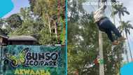 Plus-size Ghanaian lady gets stuck midway on a zip line at Bunso Eco Park
