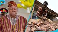 2026 SONA: Mahama reiterates commitment to transform Ghana's cocoa sector