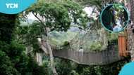 Tragic incident at Kakum Forest sparks fear as Police speak