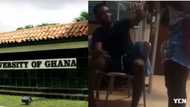 Video of Legon girl beating her boyfriend with bathroom slippers for cheating goes viral