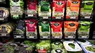 US Fed's favored inflation gauge falls, but price pressures remain