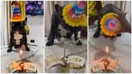 Video of family hosting b'day party for their dog sparks mixed reactions online