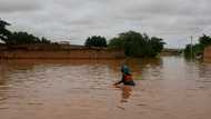 Nearly 200 dead in Niger floods